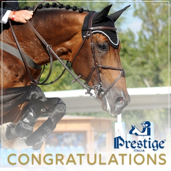 Prestige Italia Big Star Championship Qualifier at Pyecombe Horse Show 